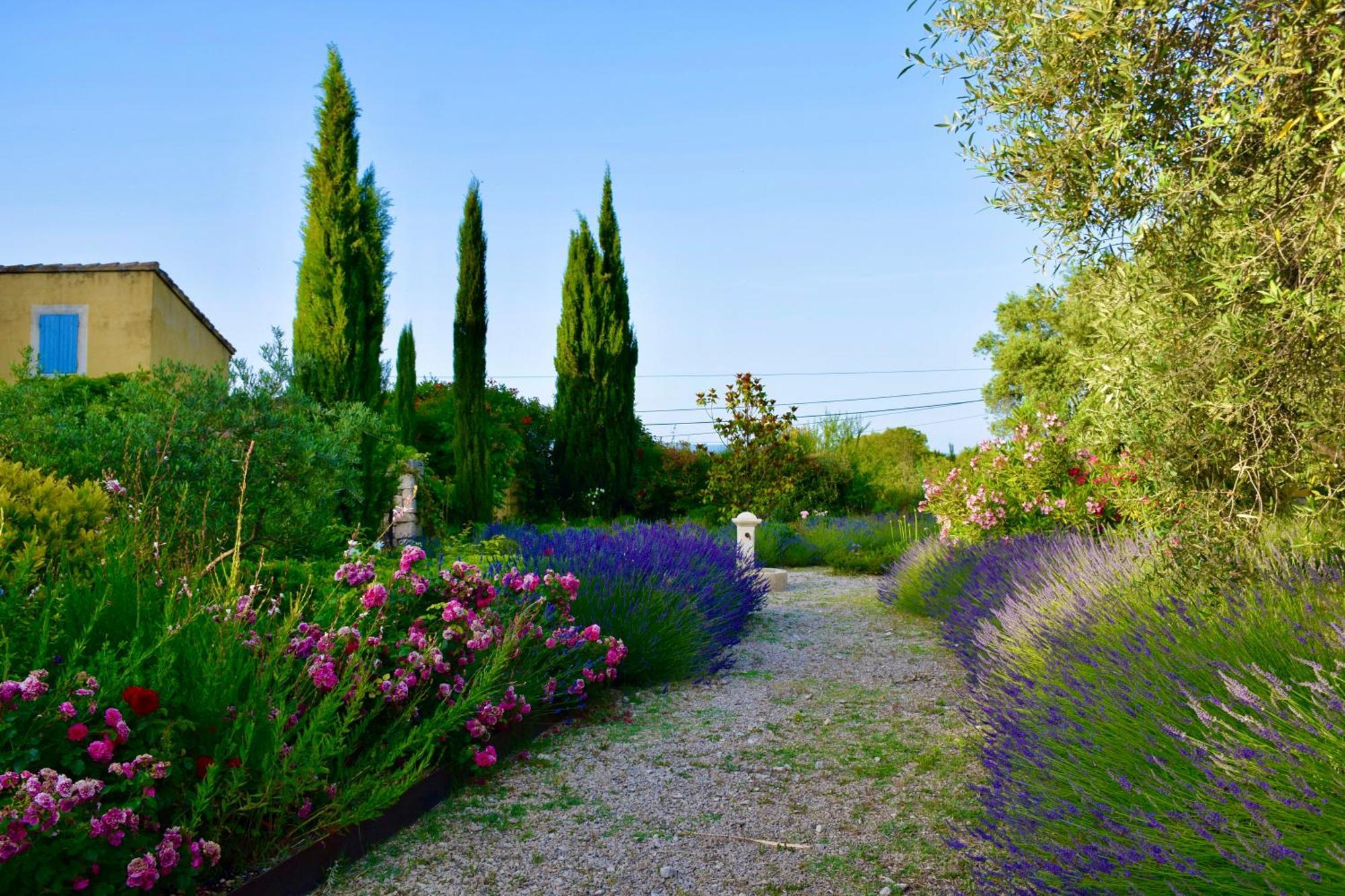 Bastide Saint-Didier Bed & Breakfast Saint Didier  Eksteriør bilde