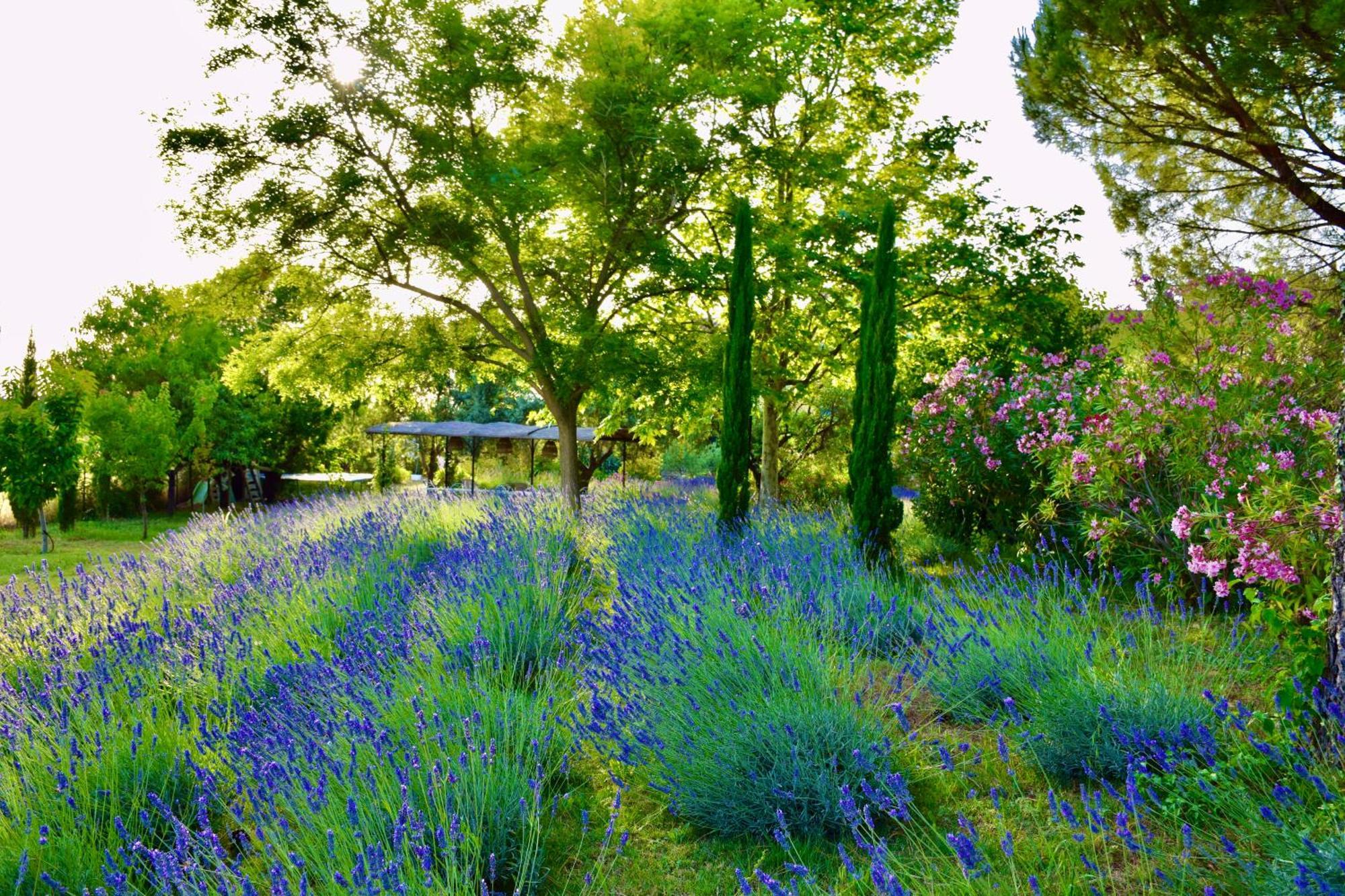 Bastide Saint-Didier Bed & Breakfast Saint Didier  Eksteriør bilde